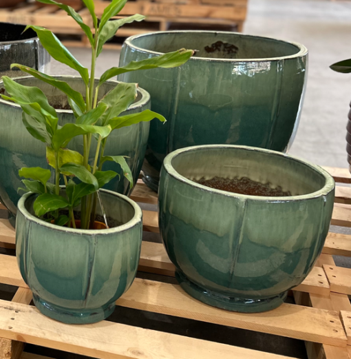 Primo FOG Egg Pot Green Med