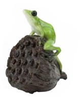 Frog On Lotus Pod