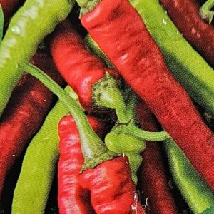 Chilli Bangalore Torpedo 100mm