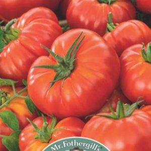 Tomato Heirloom Mortgage Lifter
