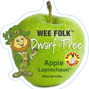 APPLE DWARF LEPRECHAUN