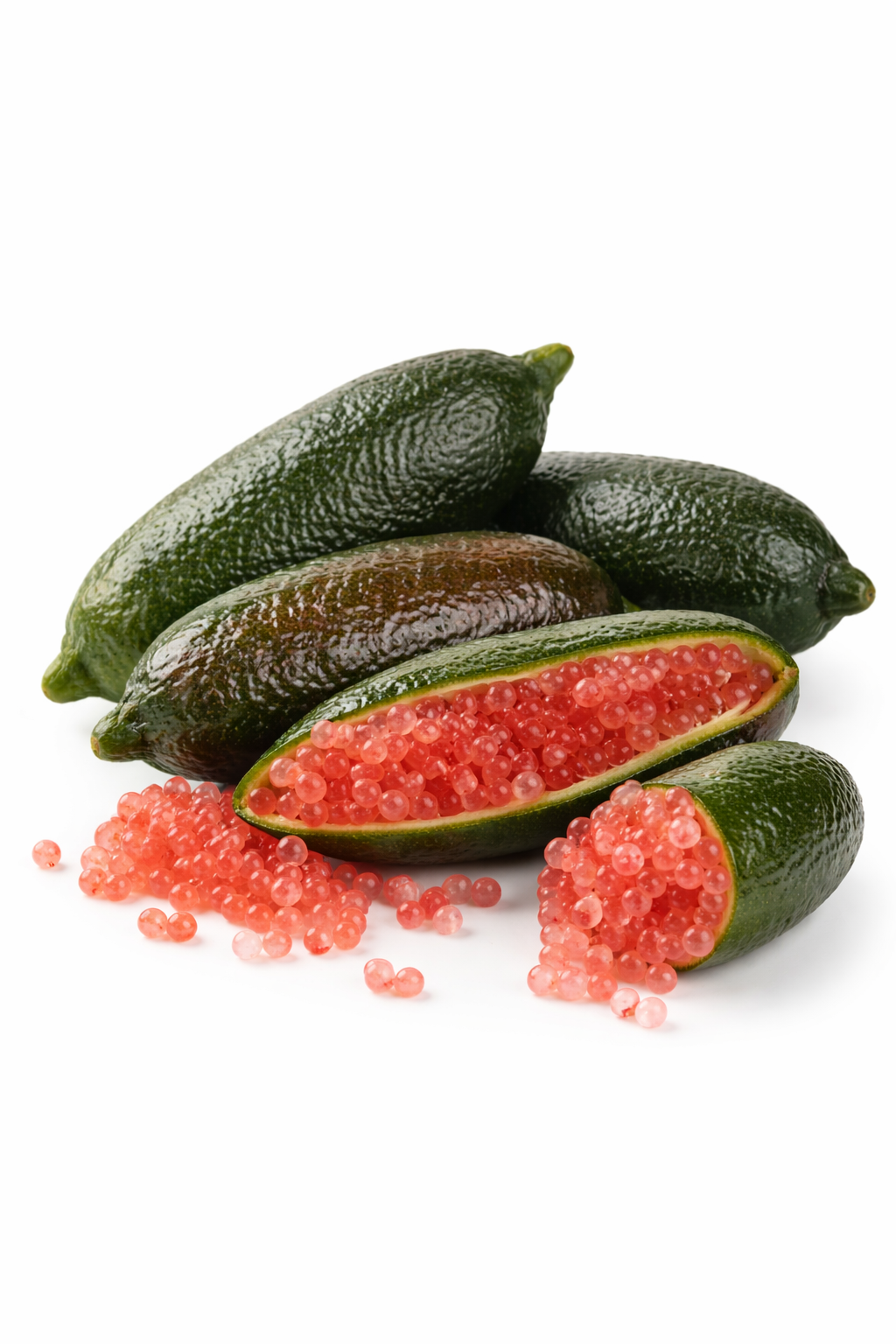 Microcitrus Red Finger Lime – Grafted 200mm Pot