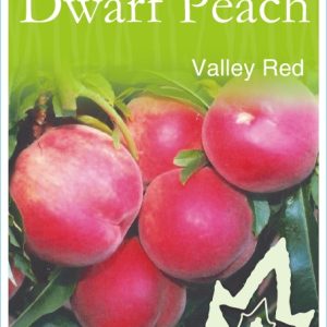Peach Valley Red Super Dwarf 250mm