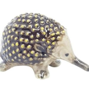 Echidna Mini