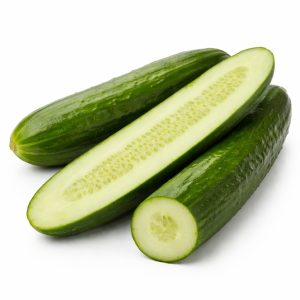 Cucumber Long Green Burpless Seedlings Punnet