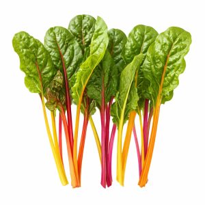SILVERBEET RAINBOW CHARD