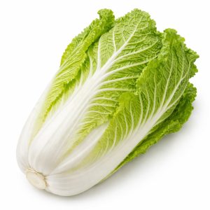 Wong Bok Chinese Cabbage Seedling Punnet