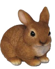 Rabbit Brown Small Sitting