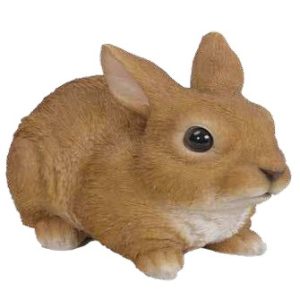 Rabbit Sitting Brown Large