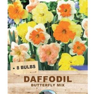 DAFFODIL BUTTERFLY MIX 8 BULBS