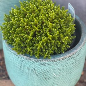 HEBE EMERALD GREEN 140MM