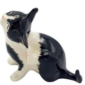 Cat Black & White Scratching