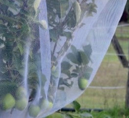 Fitted insect net large 2.8m x 2.8m Cube