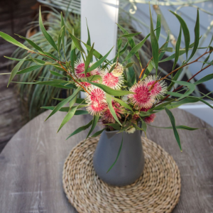 HAKEA STOCKDALE SENSATION 200MM