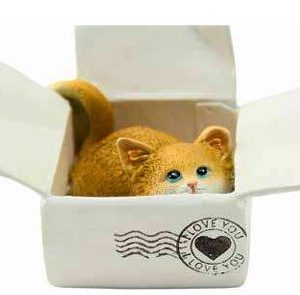Kitten Ginger In Box