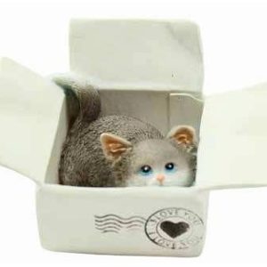 Kitten Grey In Box