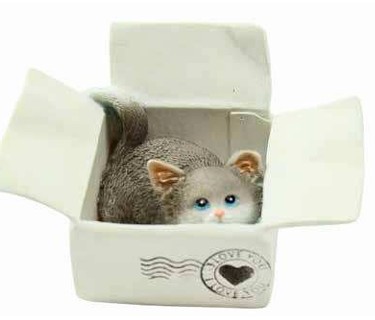 Kitten Grey In Box
