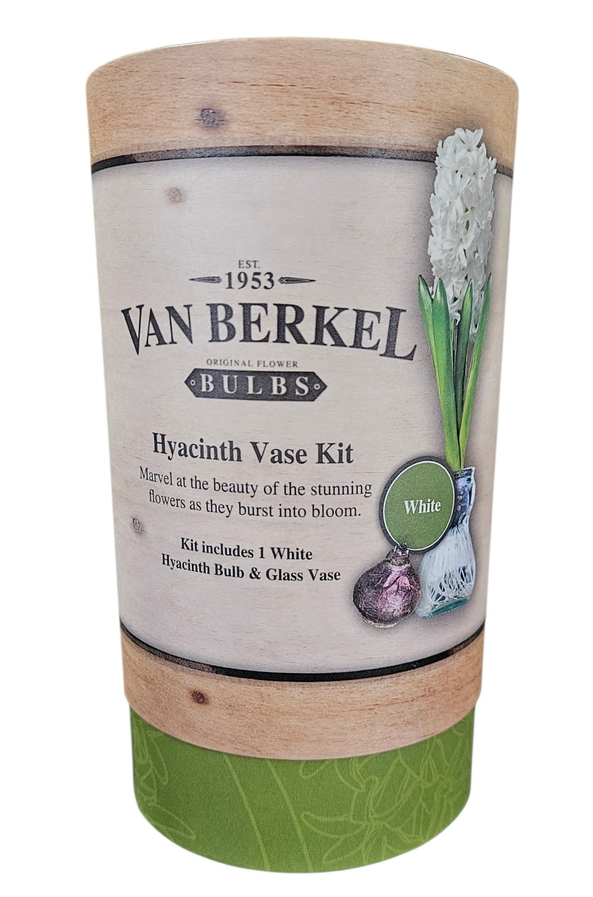 Hyacinth Vase Kit -White