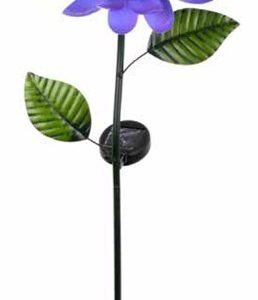 Lotus Flower Solar Purple