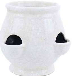 Strawberry Pot White