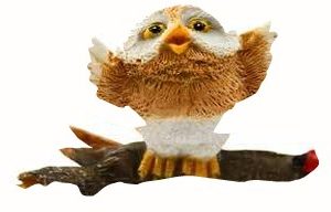 Owlbert Playful On Log