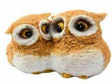 Owl Lovers