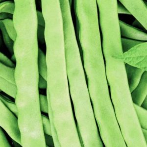 Bean Climbing Vitalis Seeds