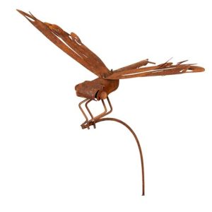 Stake Dragonfly Rust