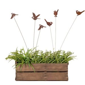 Bird Spray Rust